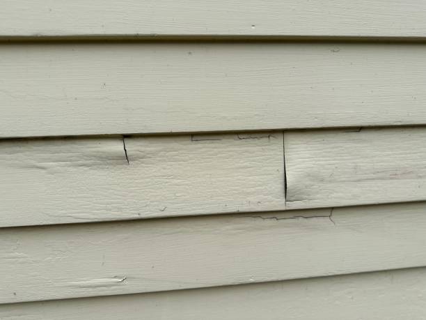 Best Steel Siding Installation  in Telluride, CO